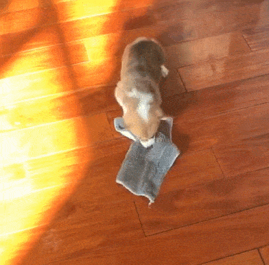 我们日常经常接触的地方如桌面,椅面,门把手等表面可以采用75%的酒精