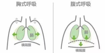 如何练习腹式呼吸训练 66b77cf23ae34c2e96a1dca40a0652ff.jpeg