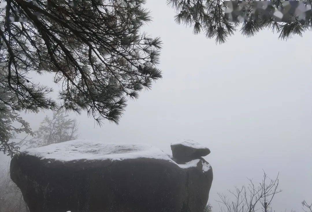 下雪啦!寧波小夥伴們,你的雪花已到貨~_景區_四明山_景觀