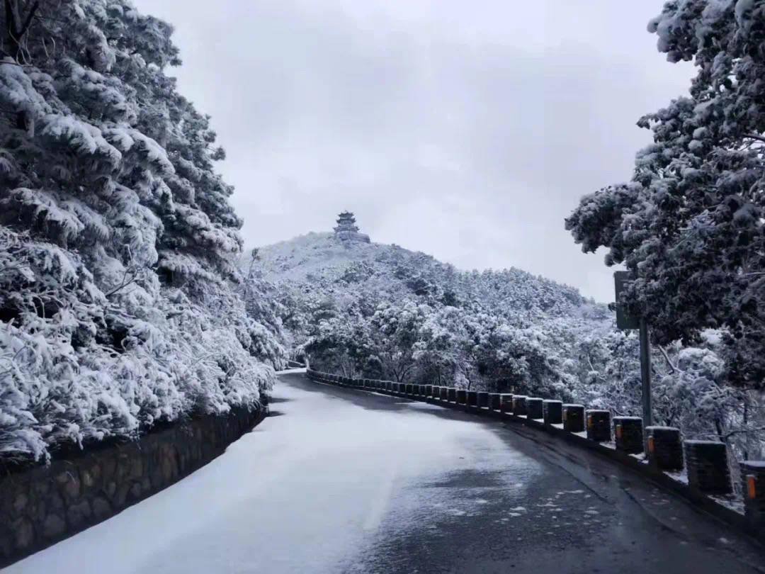 苏州大阳山雪景图片