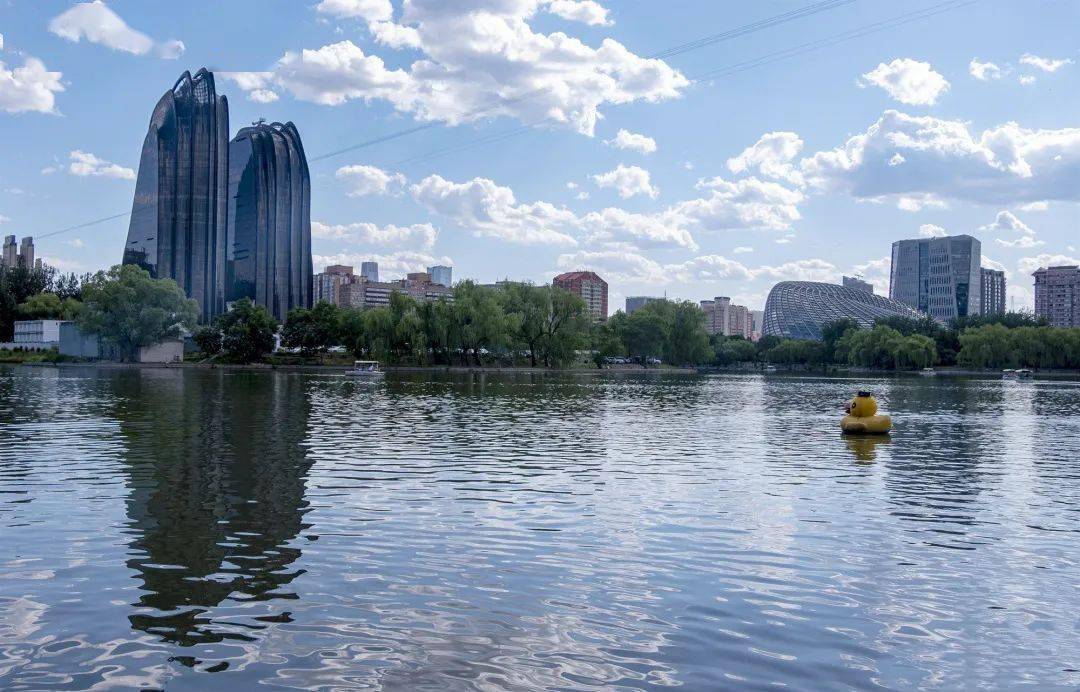 回首2021朝阳区生态环境局成绩单出炉