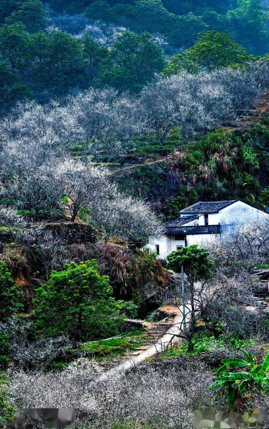 揭西关山村景点图片