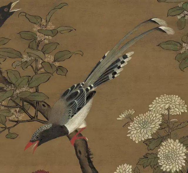 呂紀《桂菊山禽圖》鑑賞_花鳥_綬帶鳥_八哥