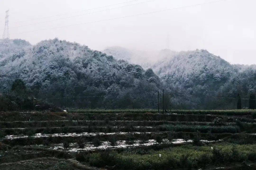 縉雲壺鎮縉雲舒洪縉雲大洋△拍攝者:高蘇蘇蓮都龐山蓮都天堂山蓮都陳