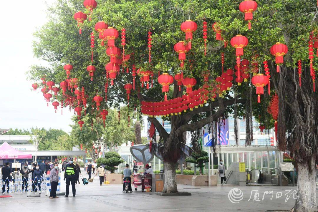 市民|厦门，红红火火迎虎年！