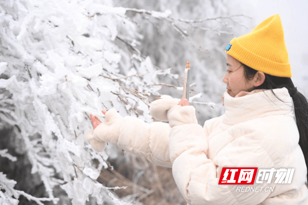 蓝山|湖南蓝山：冰雪世界欢乐多