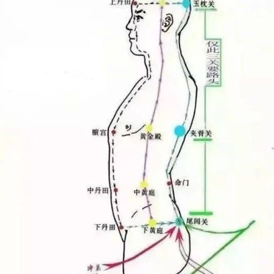 形意拳“气沉丹田”之大揭秘_气体_小腹_腹腔