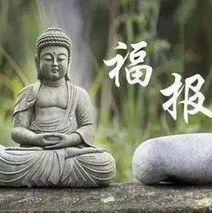 每日一禅:这样做得到的福报就更多_生命_善事_回报