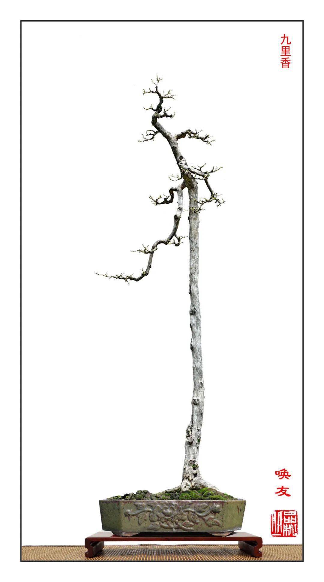 新春贺岁大片韩学年大师最新力作