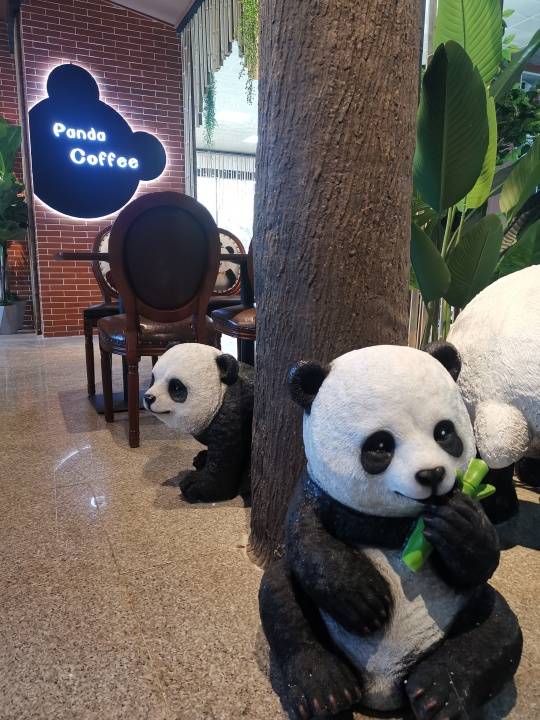 网红熊猫咖啡店开张、赏京城最早春花，春节假期公园有这些新玩法