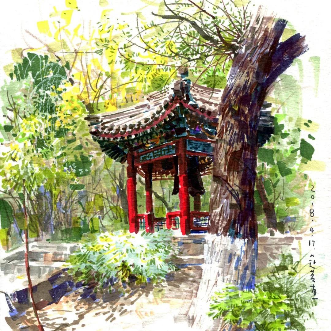 网友金银纪念币上的“抱福虎”出圈，背后细节揭秘了