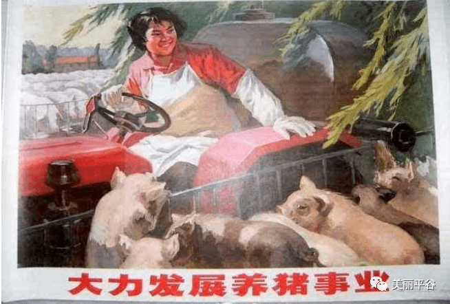 什么是生产队的驴 dfa91da4c1cb4b6f96c2e0a6f5129fc7.png