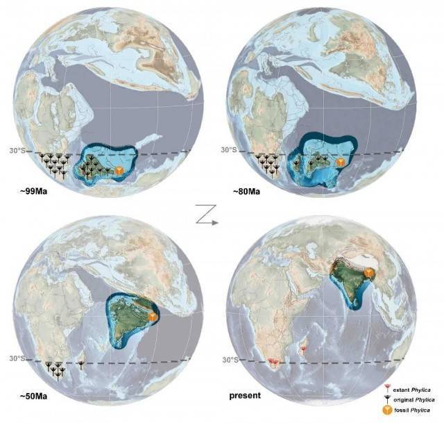 琥珀中发现最古老的现存花朵 来看这朵“开了1亿年”的花→