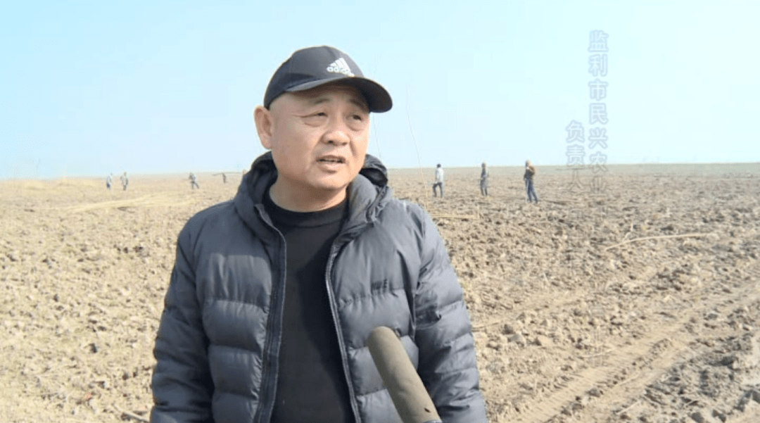 建百万亩森工原料林基地 助推乡村振兴_监利_尺八镇_杨树