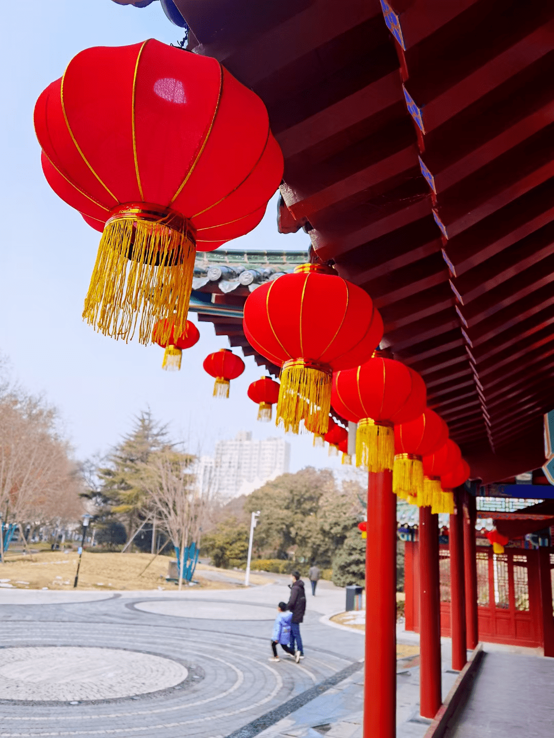 游园|灯如昼花枝俏虎生威！郑州各大公园广场新春新景等您赏