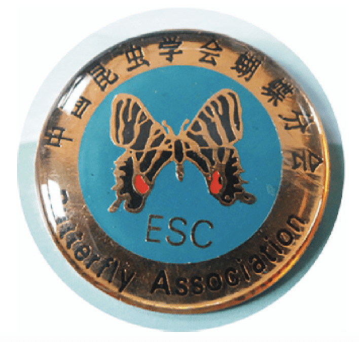 虎了吧唧的小"虎子"们_华虎甲_凤蝶_昆虫