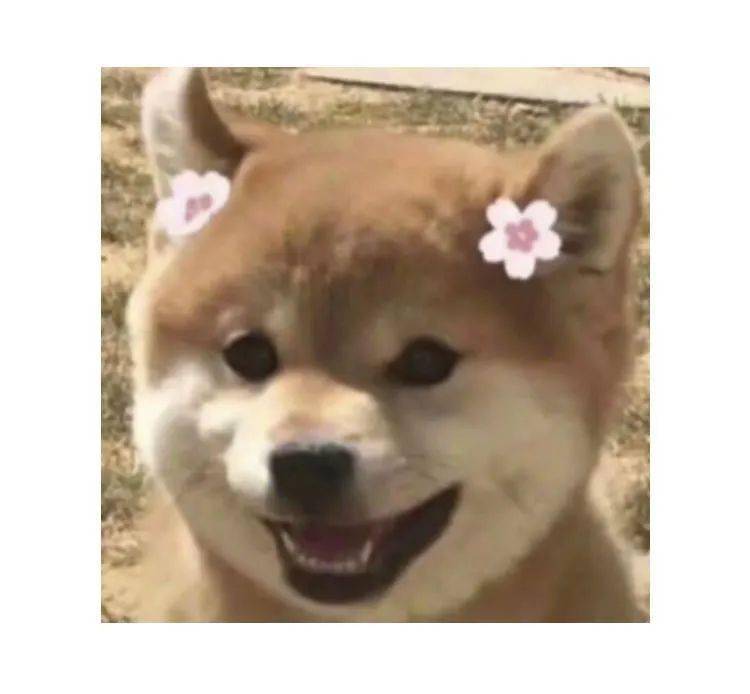 适合女生的职业排行榜_适合女性的职业适合女性的职业推荐