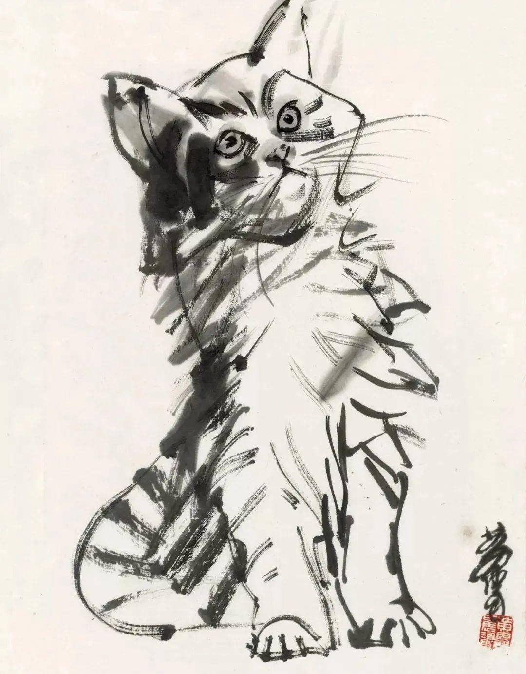 看看黄胄笔下的小萌猫～_生活_人物_速写