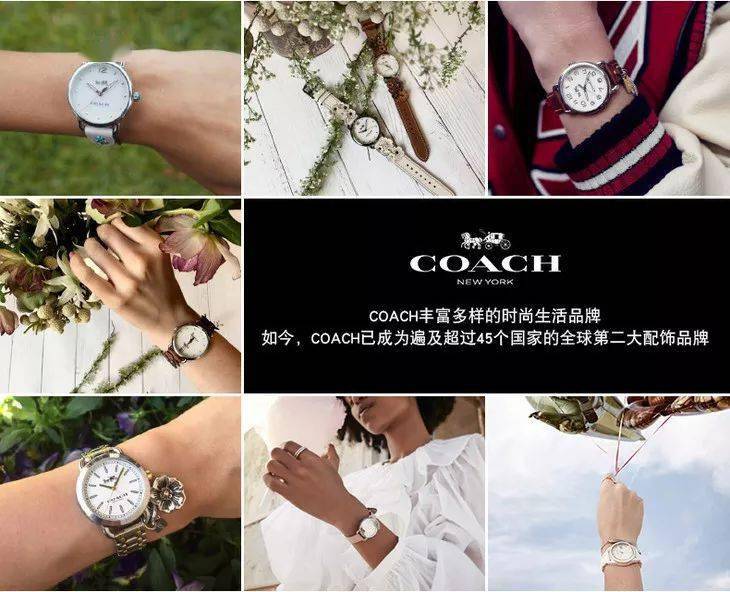 COACH޶299ԪʱCOACH޶ ...