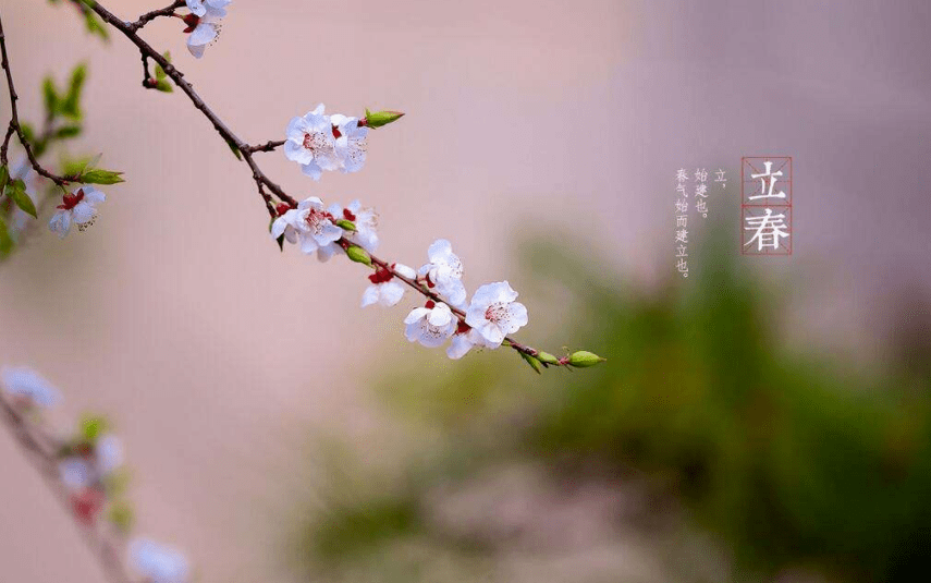 ea1c6382de964620a5aefb74b9789774.png