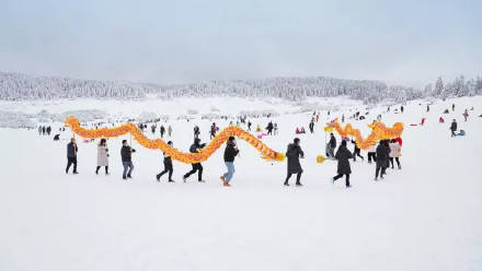 地缝|冬奥逢春！快抓住春节假期“余额”，去武隆仙女山耍雪过新春！