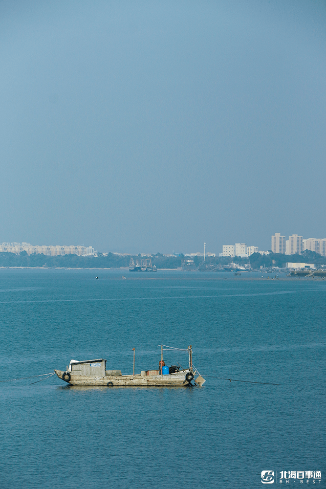 黄金北岸栈道临时开放!北海人都跑来打卡啦!