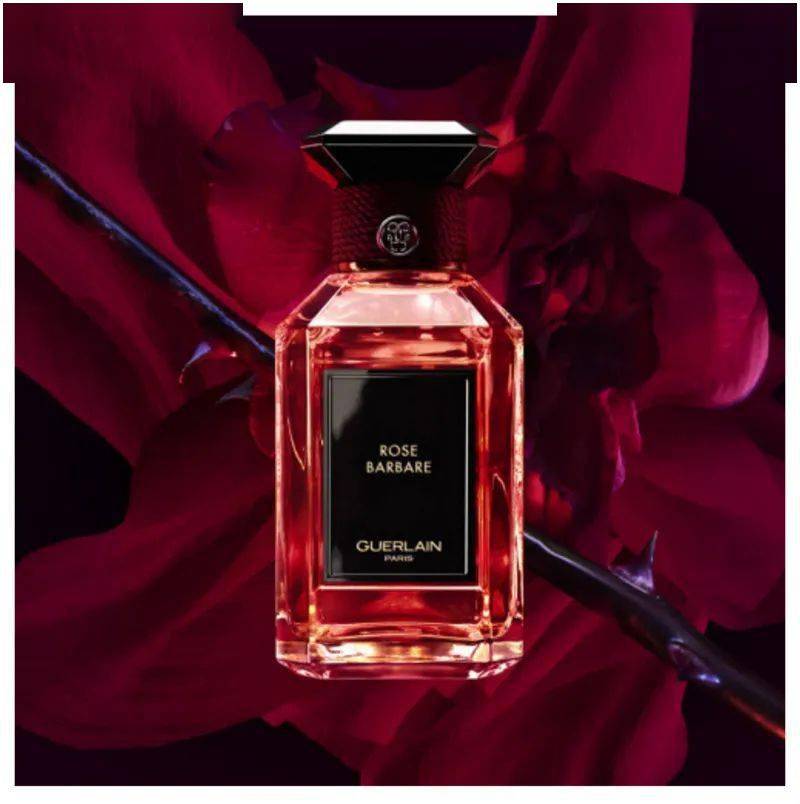 香气寻香 | 人间理想：把富贵穿在身上！