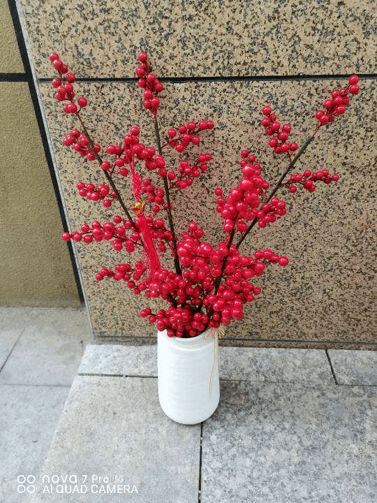 c1995813701a40a4a24c621592c13cbd.png