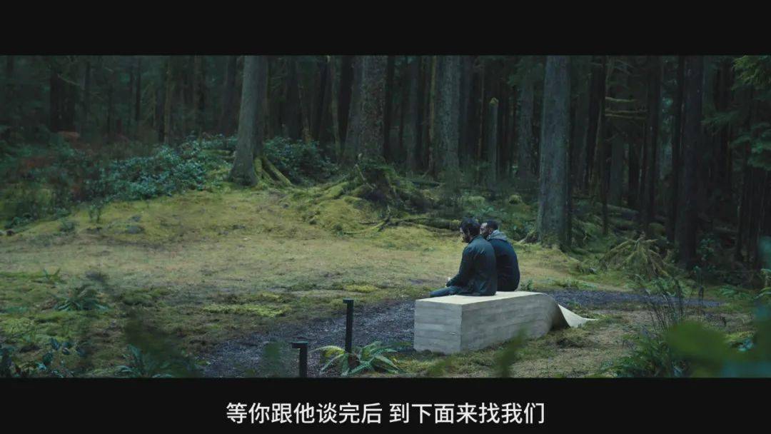 被低估的冷门佳片，我不敢再看第二遍