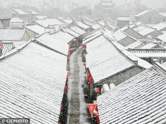 湖州市|新春雪绒绒