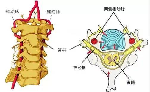 新闻|26岁小伙患脑梗！只因这件很多人都在做的事？