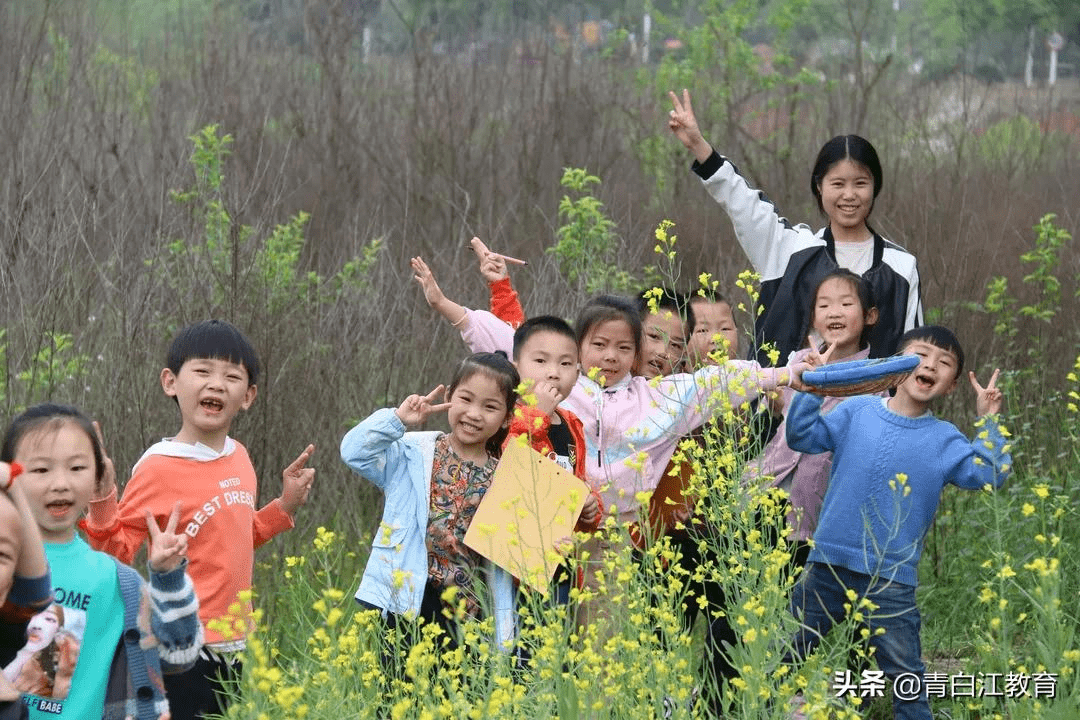 成都市|实名骄傲！青白江喜提6所市一级幼儿园！