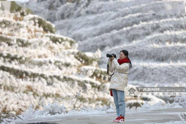 新闻网|广西这个地方现绝美雪景 宛如童话世界