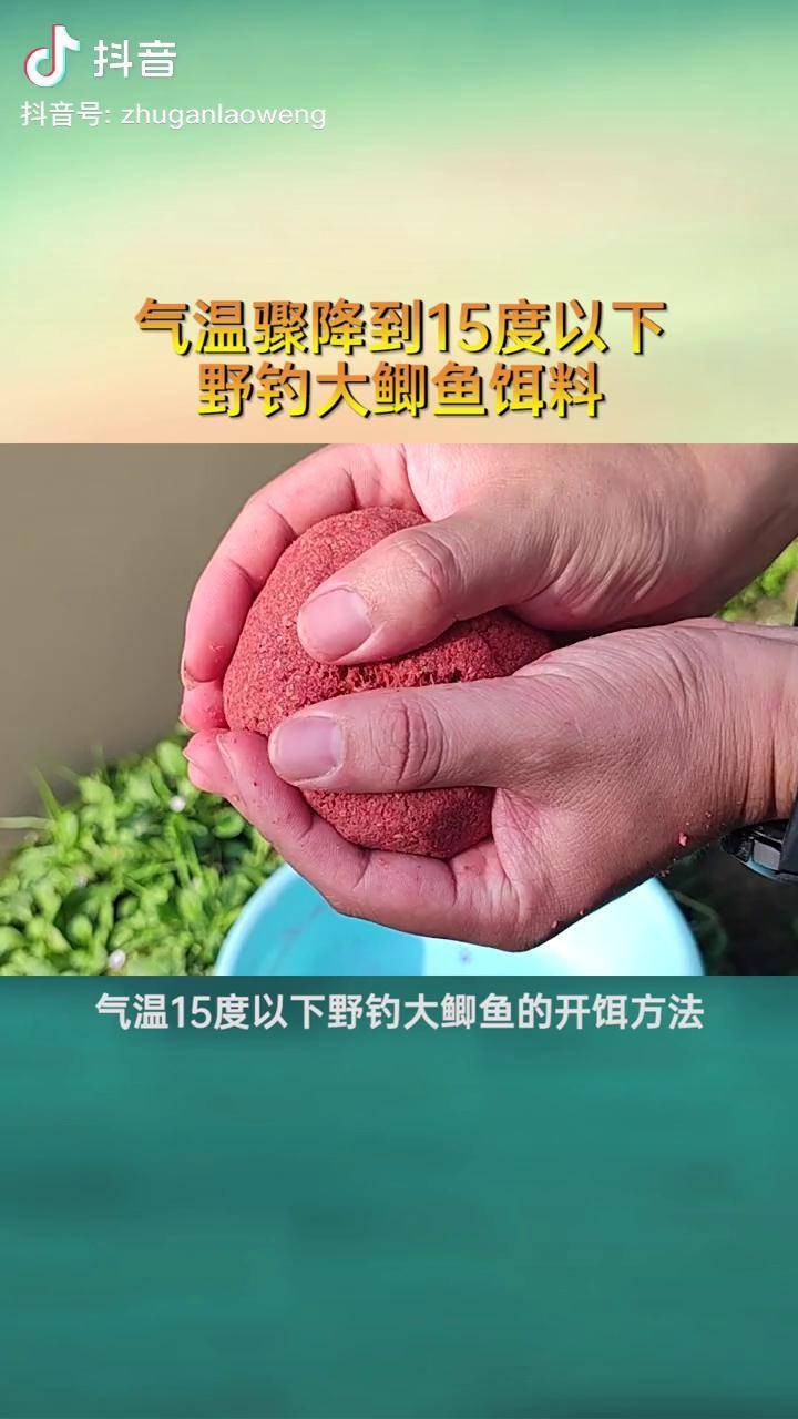 红虫钓鲫鱼绝密技巧图片