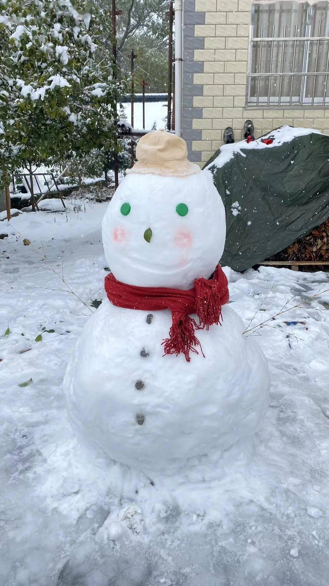 九江人朋友圈堆雪人大赛