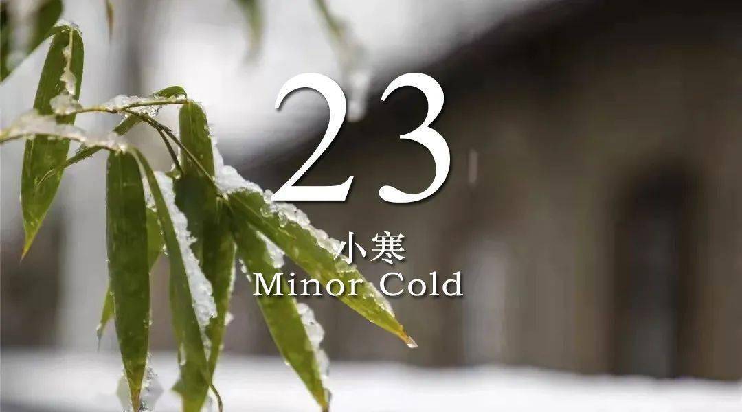 娄源|用24节气打开威海，太惊艳！