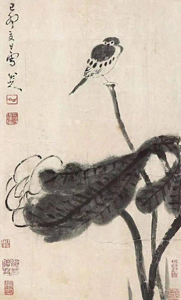 八大山人画鸟_鸟石_花鸟_鸟儿