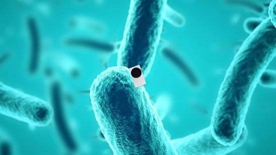 Xbox|XBOX官方互动整活 比原子还小的Xbox Series S