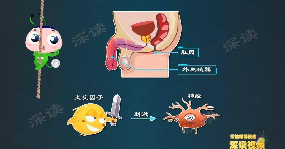 解密生殖器疱疹症状背后的真实原因,超赞_表皮层_病毒_皮肤