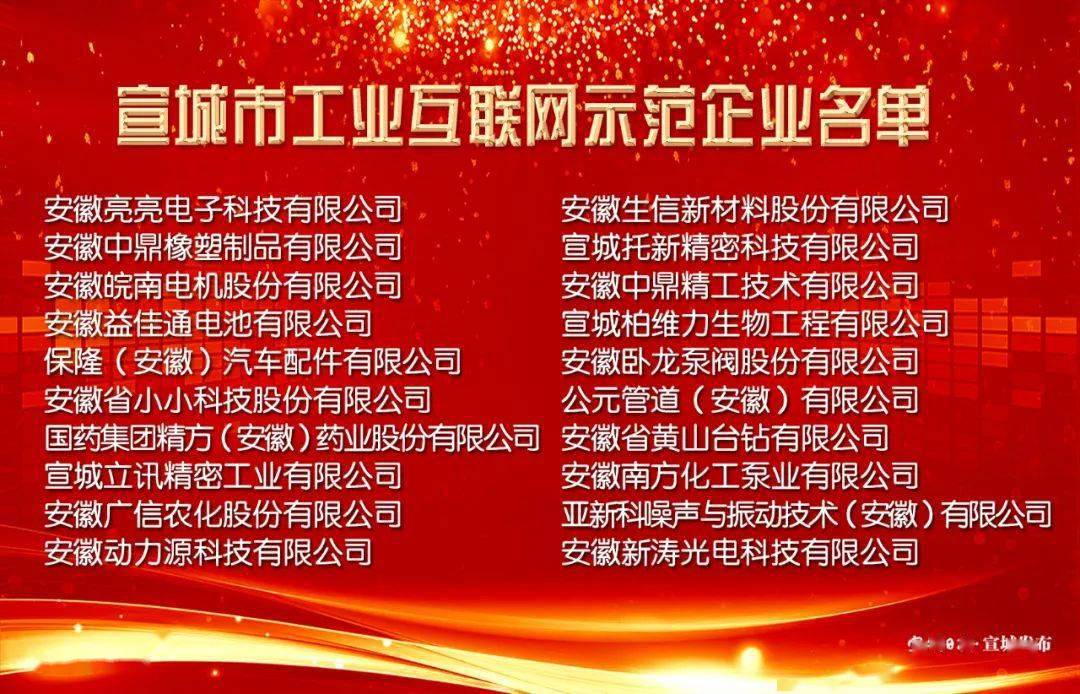 宣城这些企业获表彰！