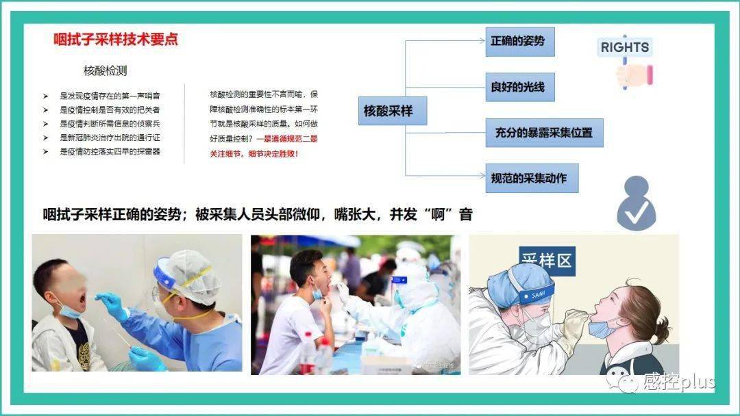 ppt新冠病毒核酸採樣工作要點