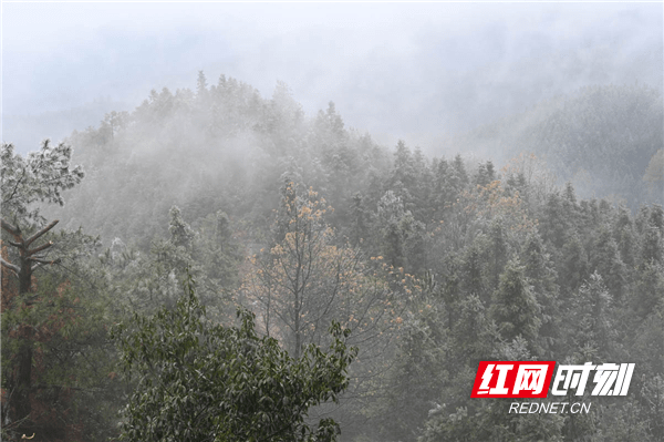 蓝山|湖南蓝山：冰凌雾凇惹人醉