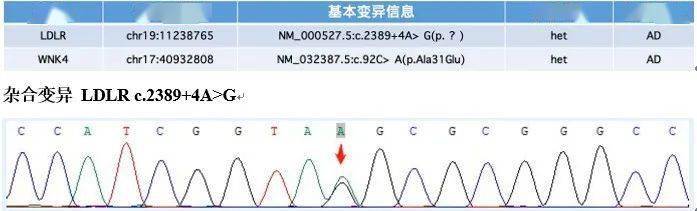 2%;t淋巴細胞 cd3 78.0%;th淋巴細胞 cd4 43.9%;ts淋巴細胞 cd8 32.