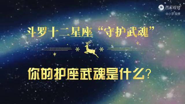 斗罗大陆十二星座守护武魂