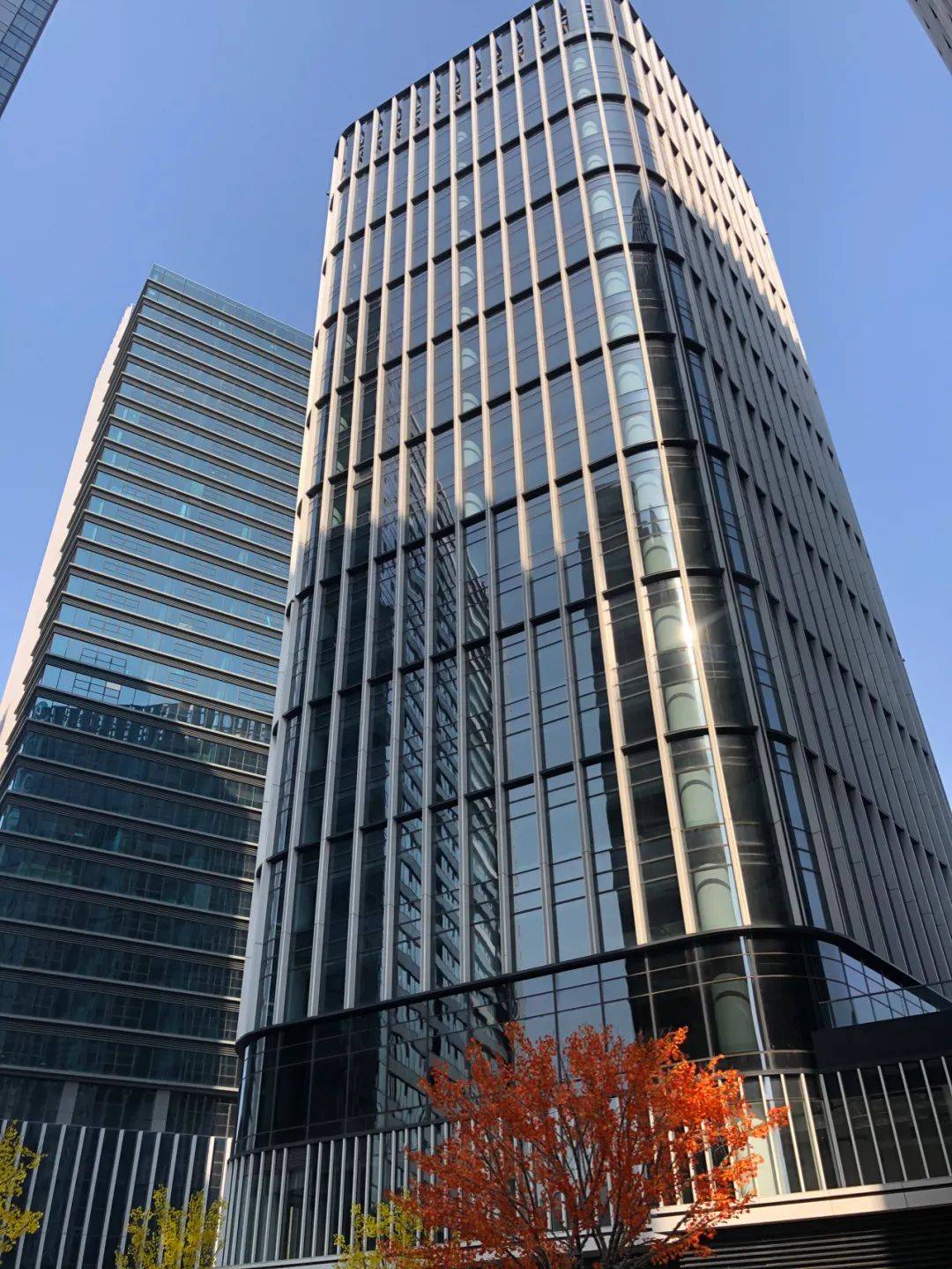 今日,记者来到位于运河商务区板块核心区的合景中心项目,该项目位于