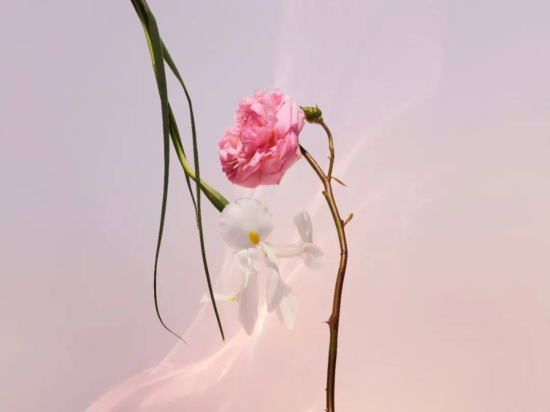 路易威登路易威登恋印香水——寻找心中芬芳和亲密关系之钥