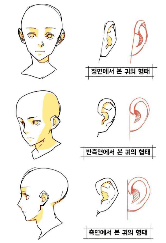 基礎線稿黑白稿人物頭部動作線稿