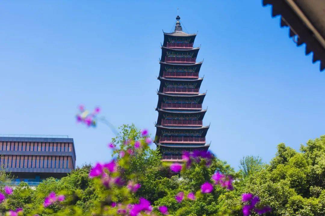 大渡口文旅圖景丨名副其實的公園之城_義渡_解國_姜沛靈