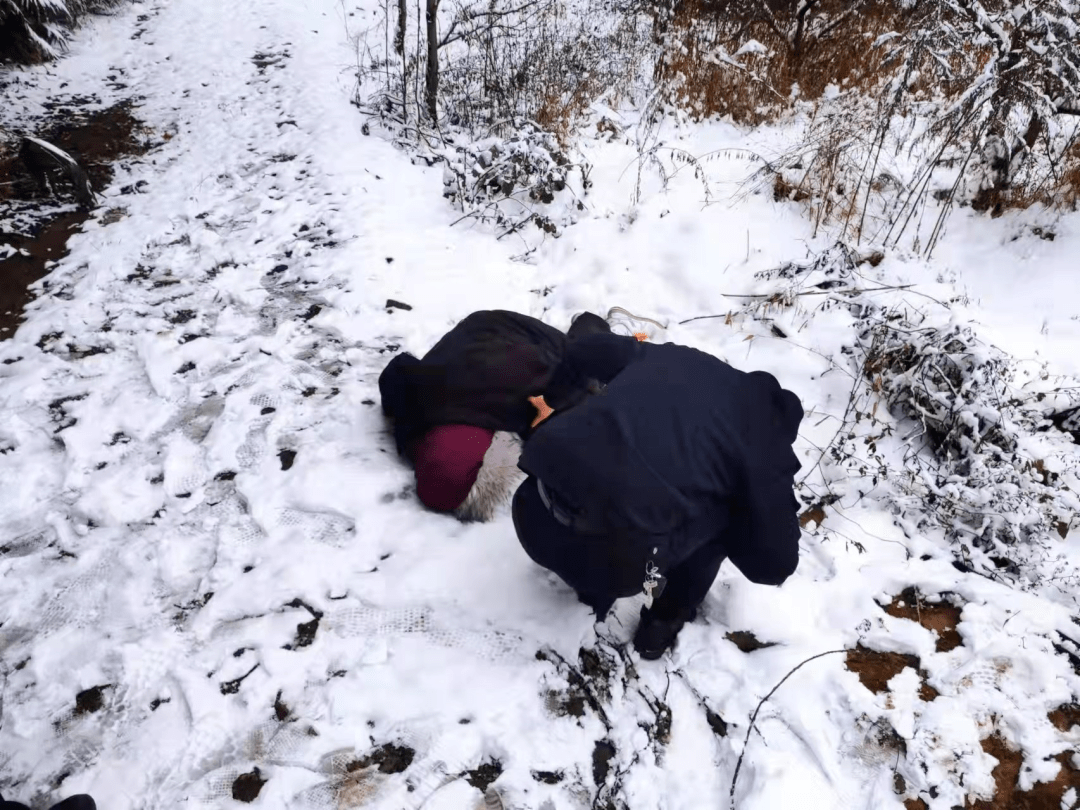 男子半山腰冻僵昏迷利川公安上演雪地里的生死营救