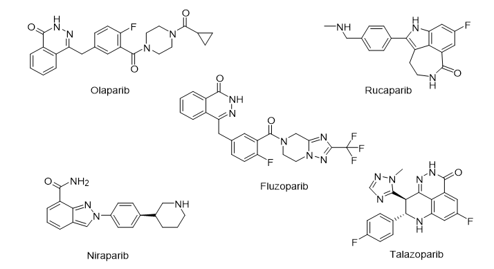 上市时间是2014年,之后又相继上市了rucaparib,niraparib,talazoparib